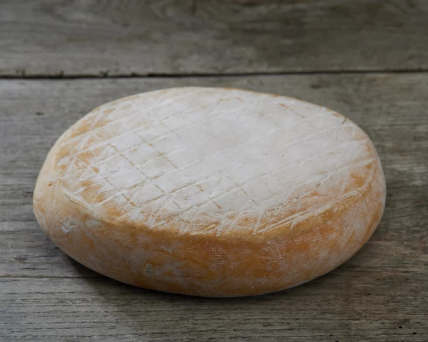 Artisanal cheese from the Allier region